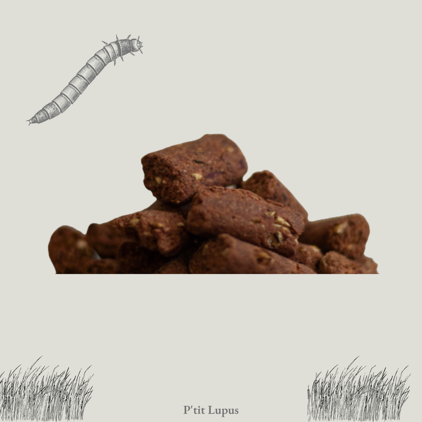 P'tites Bouchées aux Insectes et Légumes