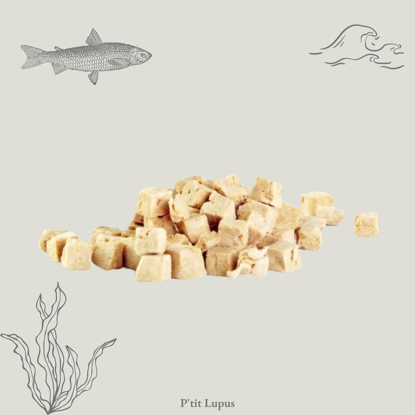 Friandises Lyophilisées - 100% Poisson Blanc - 60g
