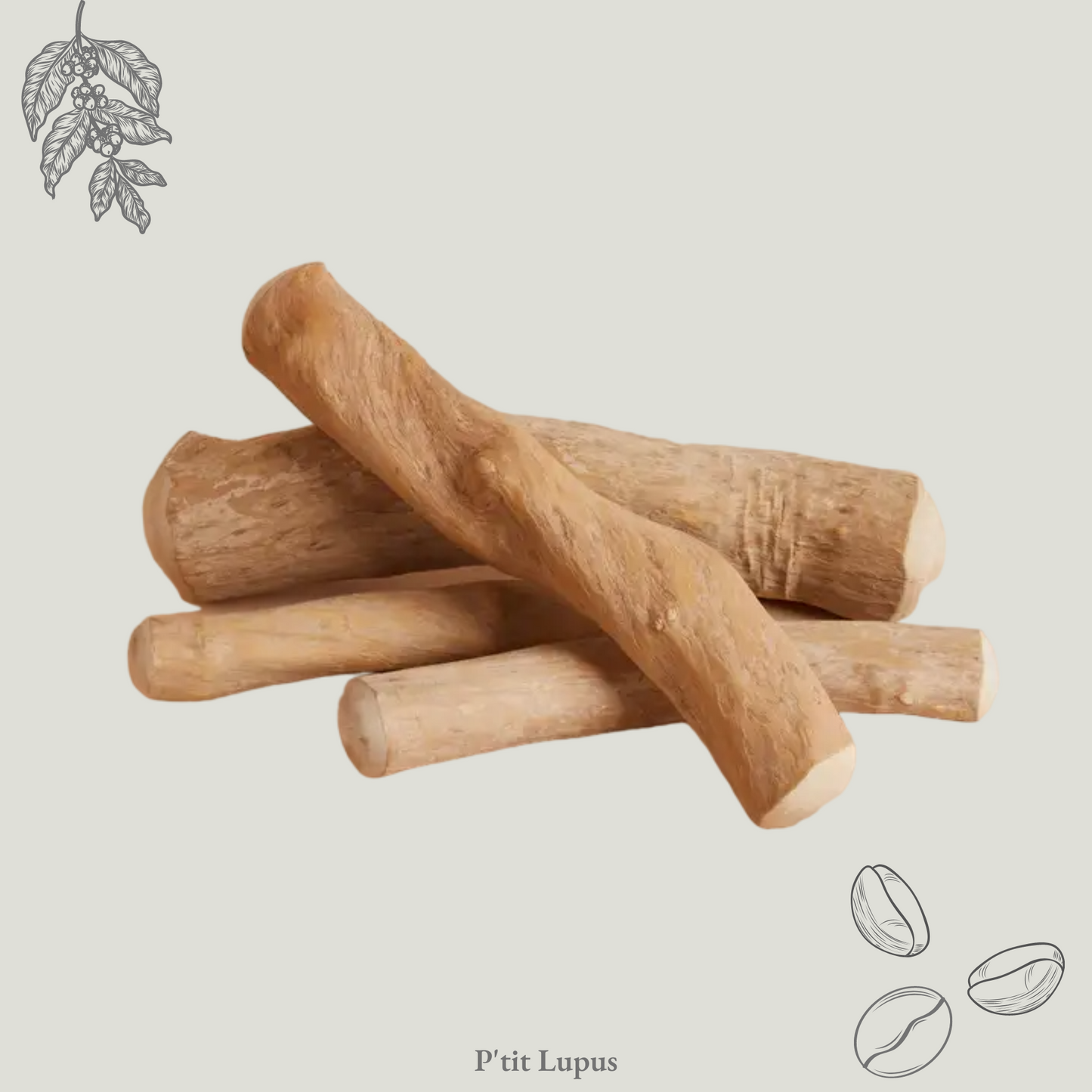 Bois de Caféier