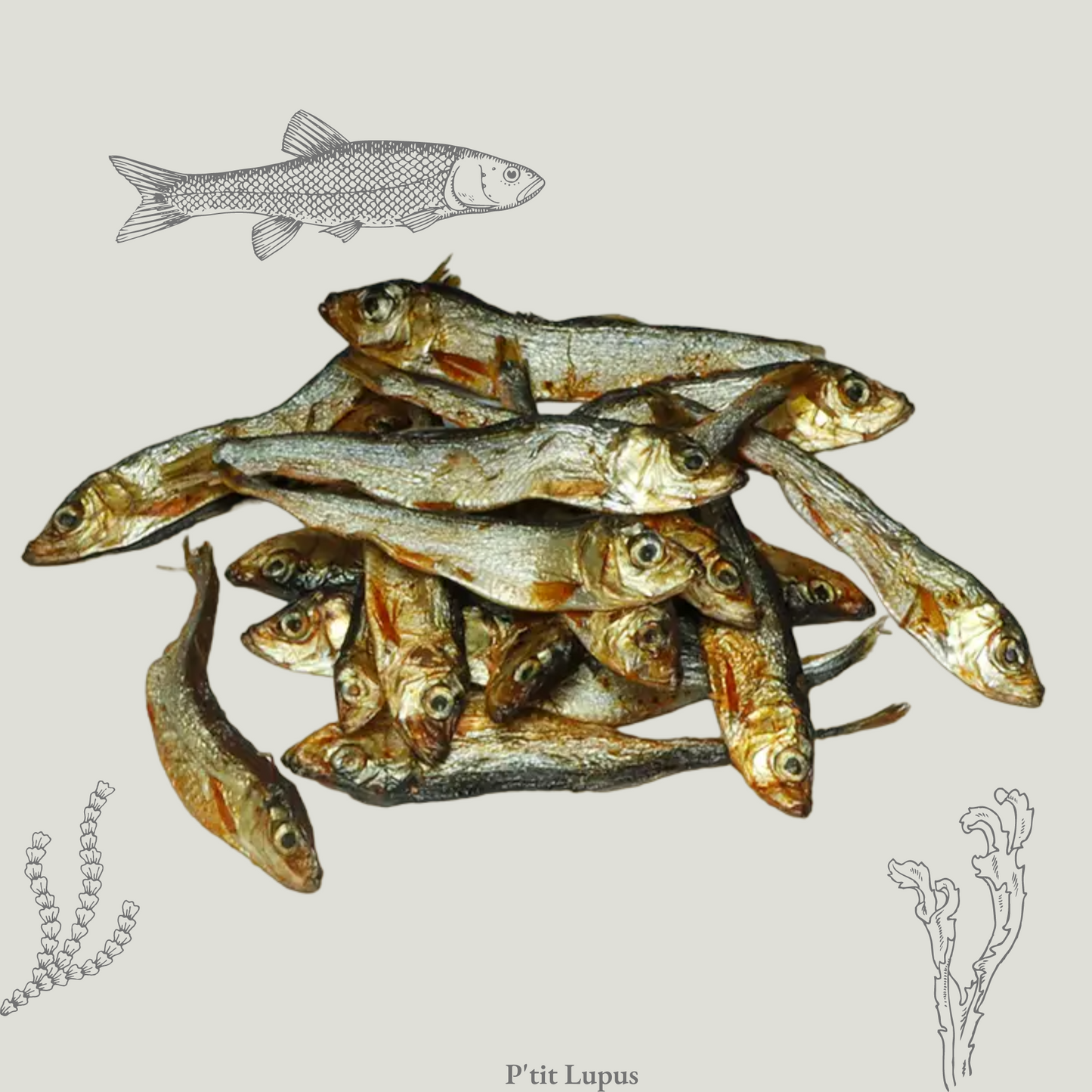 Sprats - Poissons Séchés