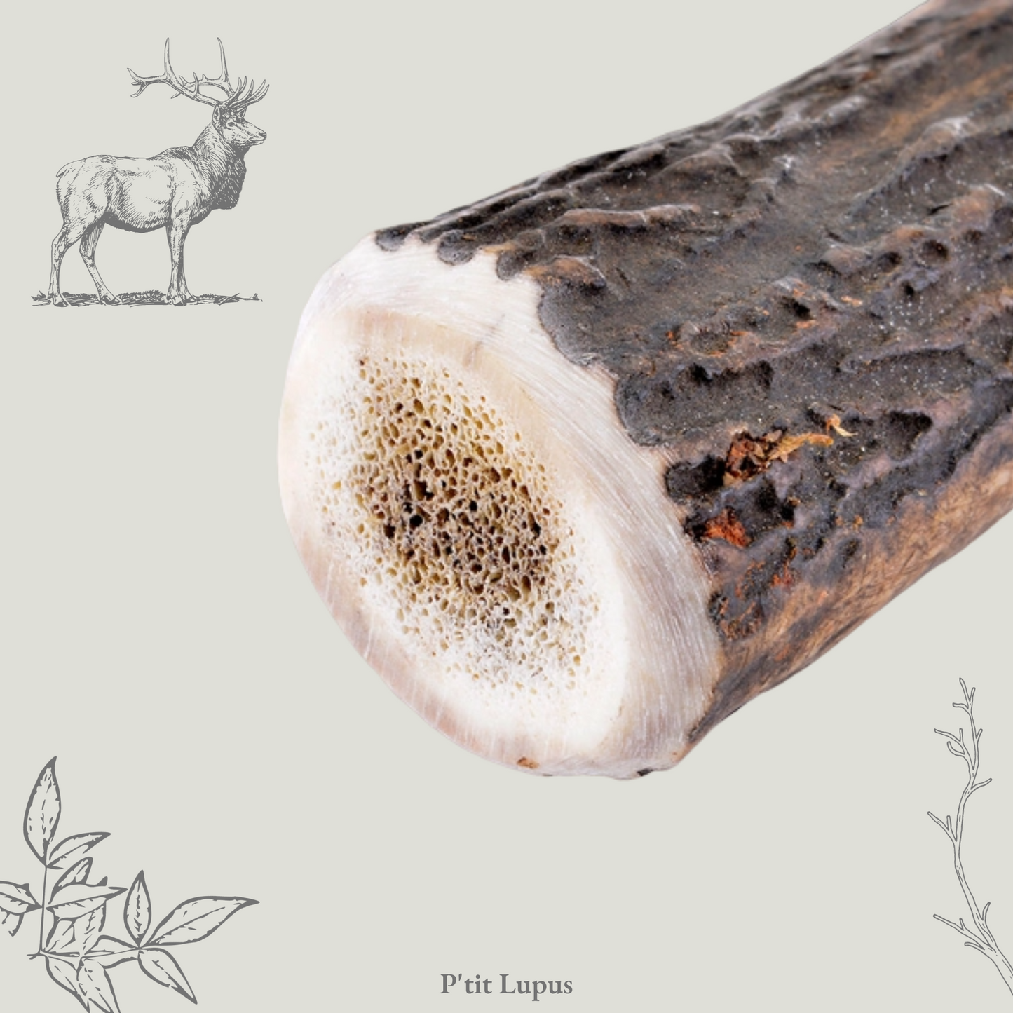 Bois de Cerf entier