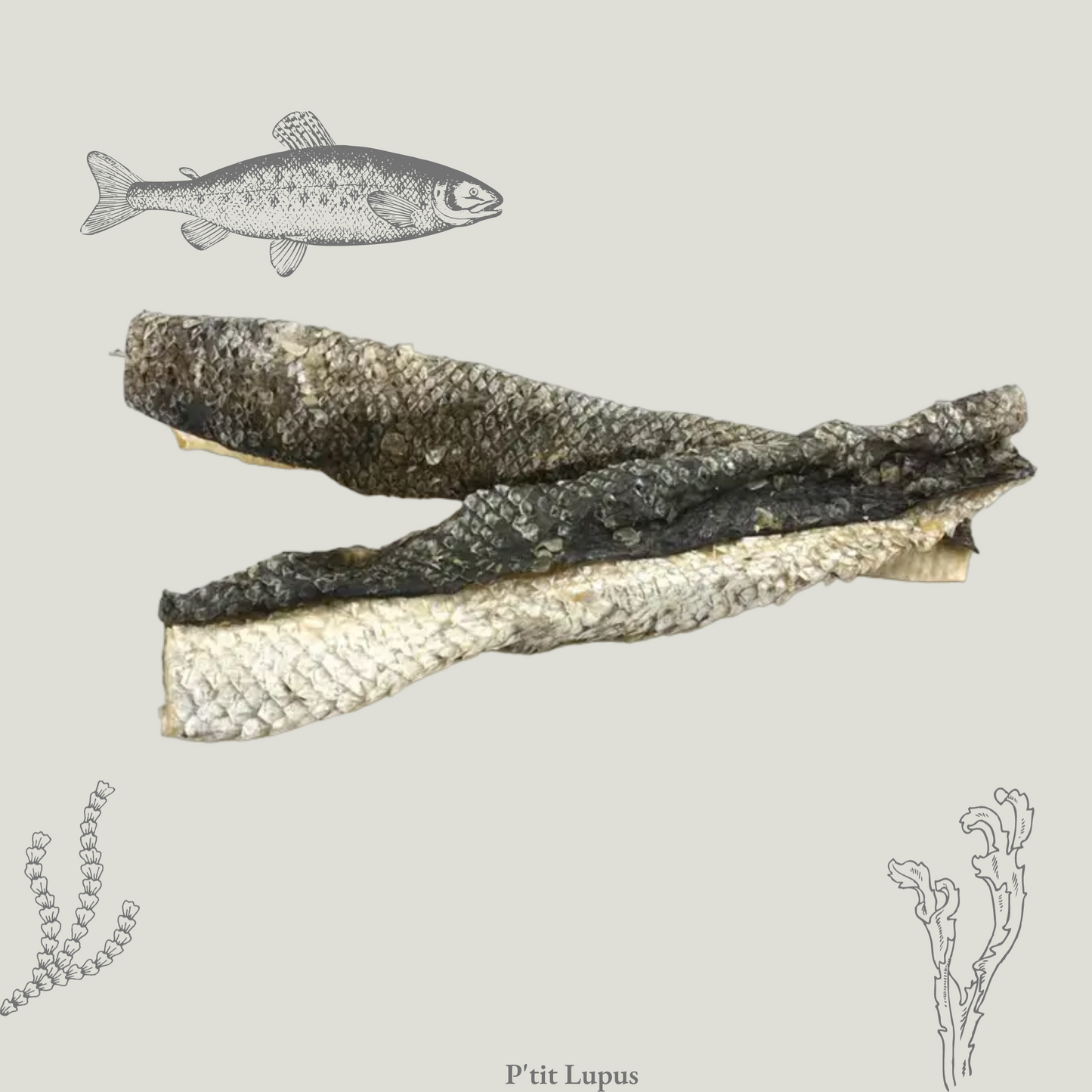 Peau de Saumon Séchée 25-30cm