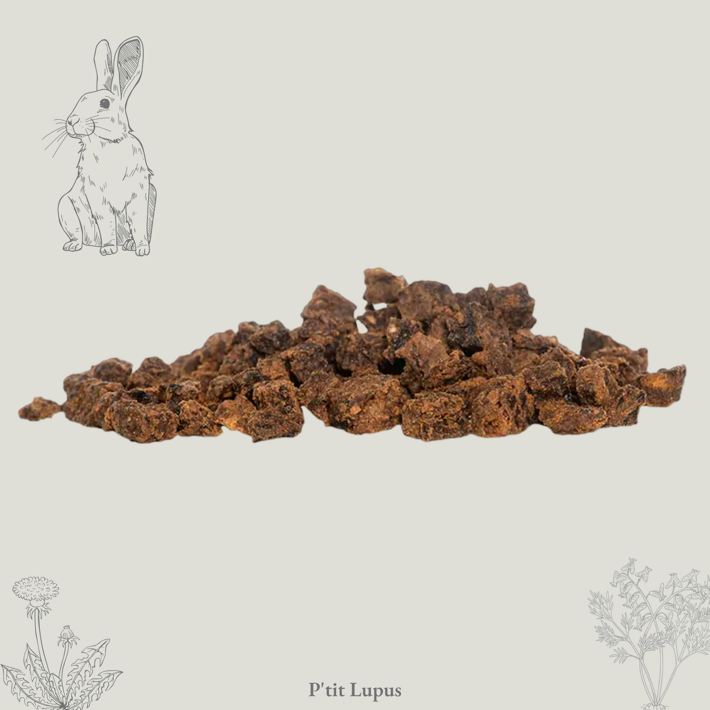 Cubes de Lapin
