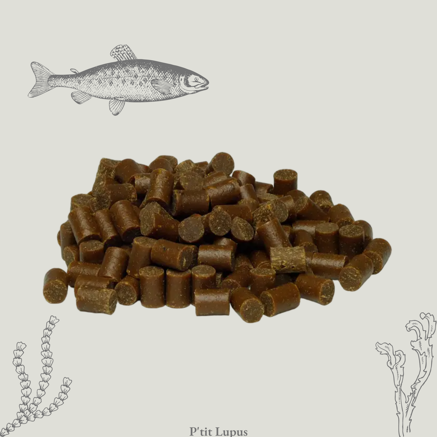 P'tites Bouchées au Saumon
