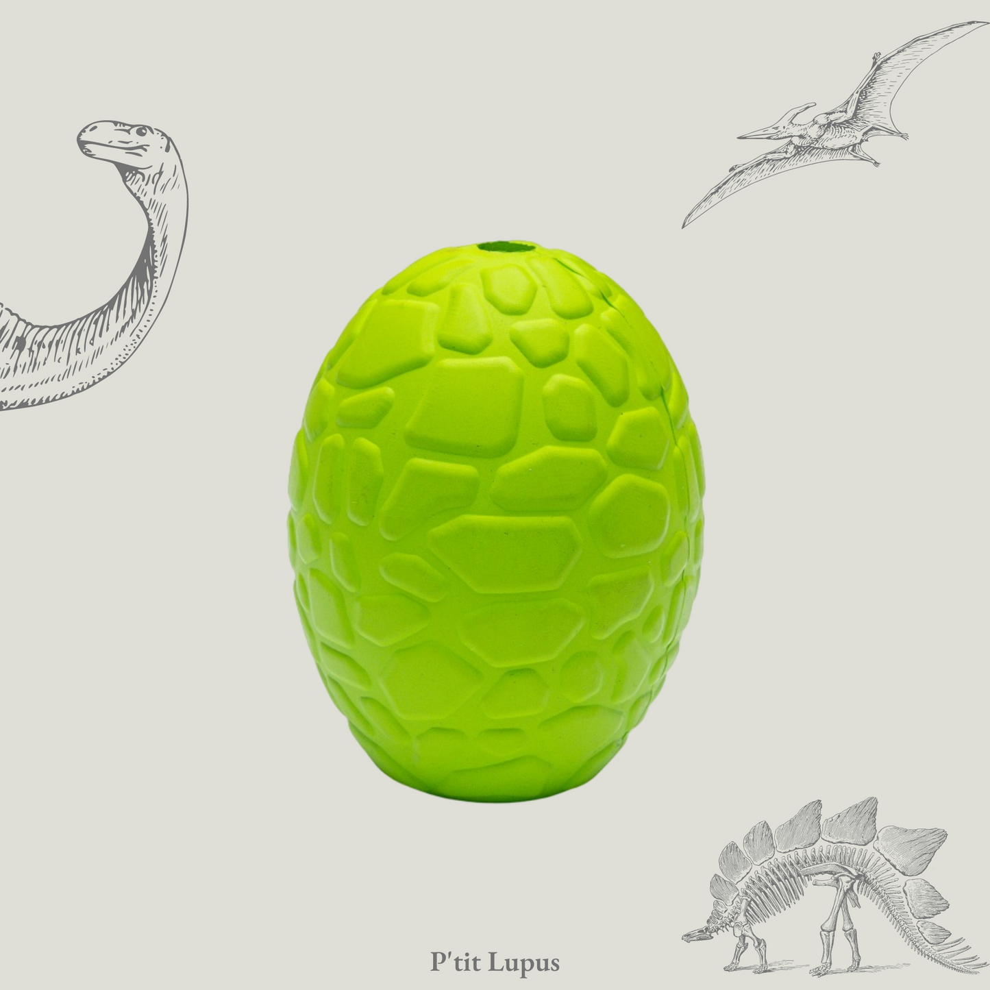Jouet distributeur - Œuf de Dinosaure