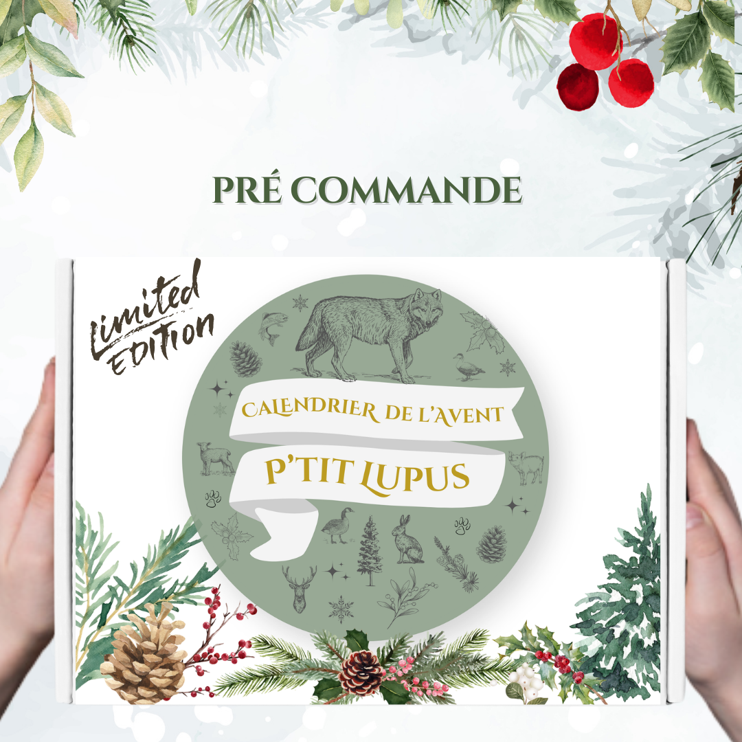 🎄 Calendrier de l’Avent pour Chien – Friandises et Mastications 100% Naturelles 🐾