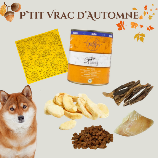 P'tit Vrac d'Automne