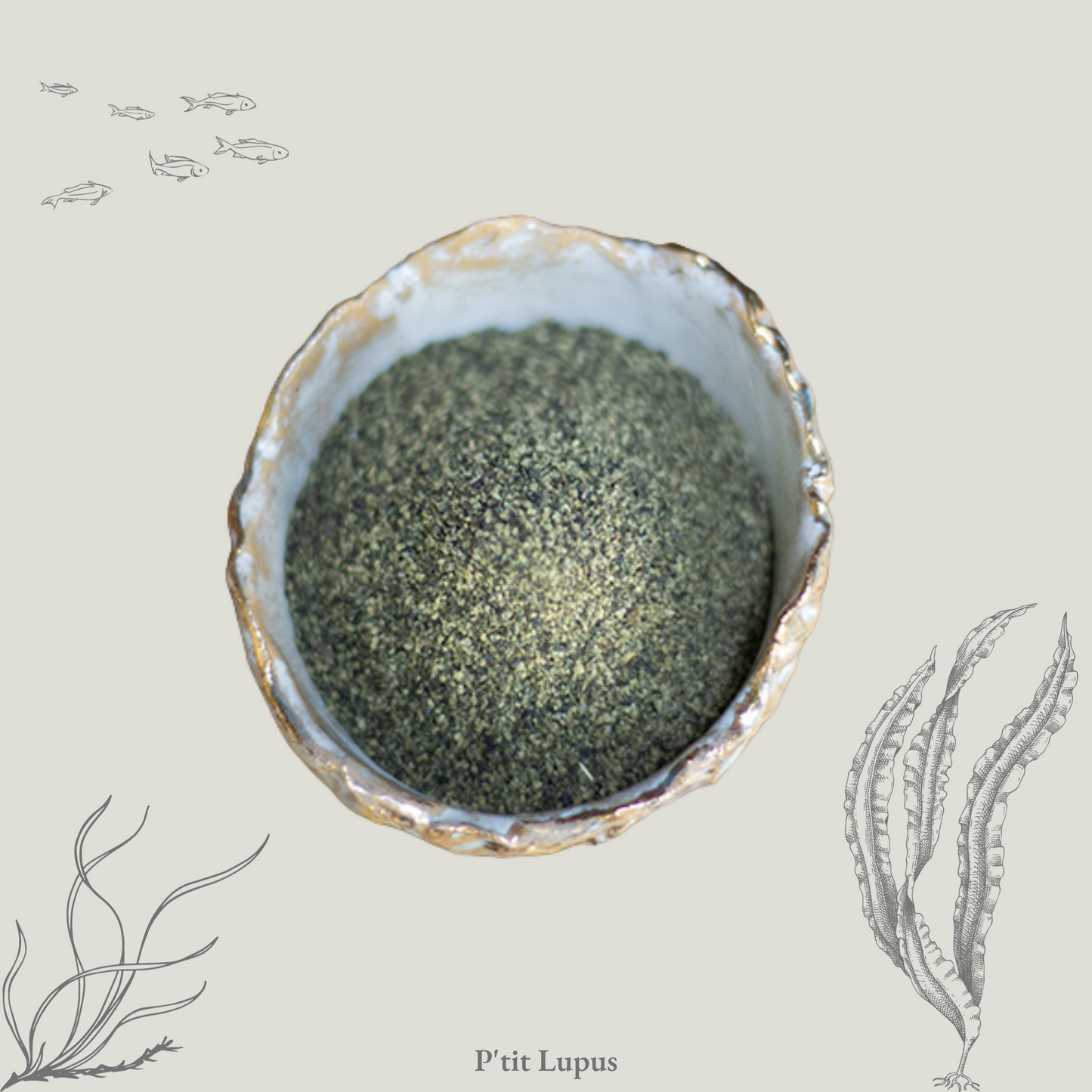Poudre d'algues de Kelp