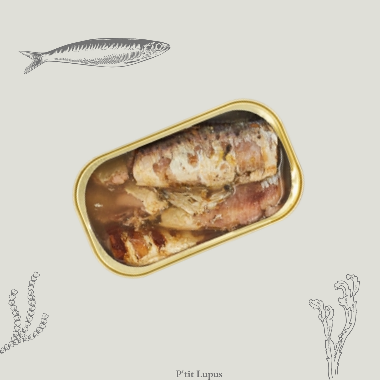 Sardine Naturelle en Conserve Artisanale de 115g par Canumi