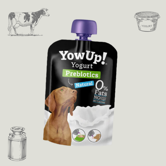 Yaourt pour chien sans lactose - Gourde par Yow Up 115g