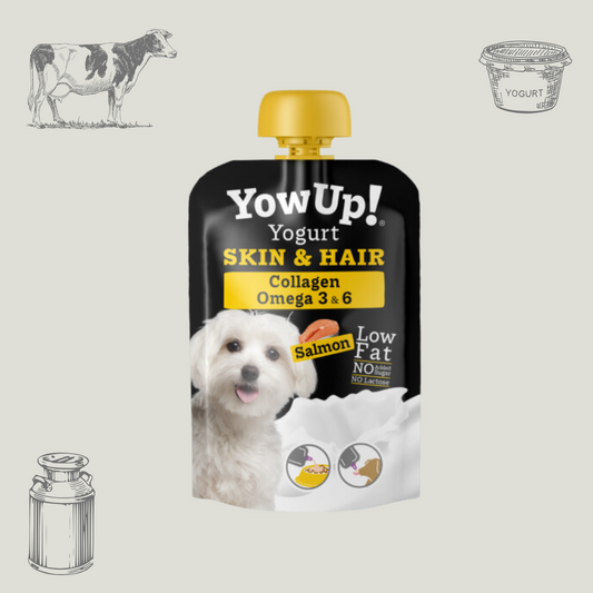 Yaourt pour chien saveur Saumon - Peau et Pelage - Gourde par Yow Up 115g