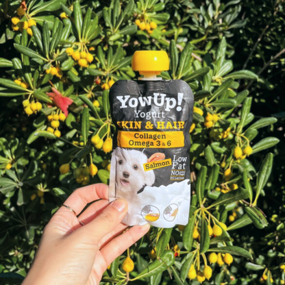 Yaourt pour chien saveur Saumon - Peau et Pelage - Gourde par Yow Up 115g