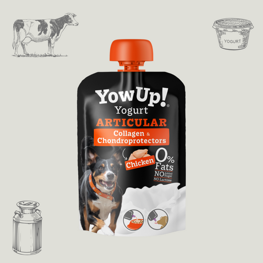 Yaourt pour chien saveur Poulet - Articulation - Gourde par Yow Up 115g