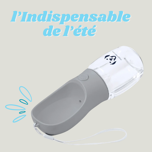 Gourde pour chien - 300ml