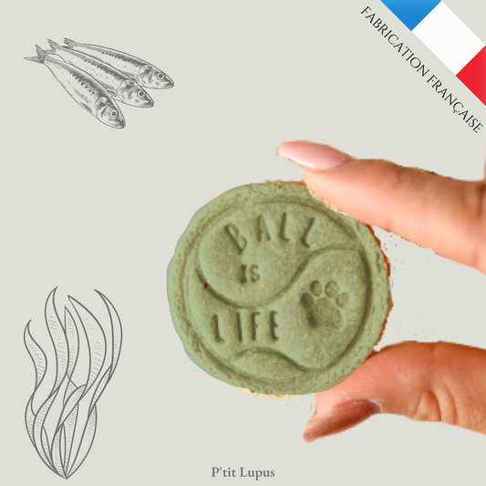 Biscuits Artisanaux Sardine et Spiruline