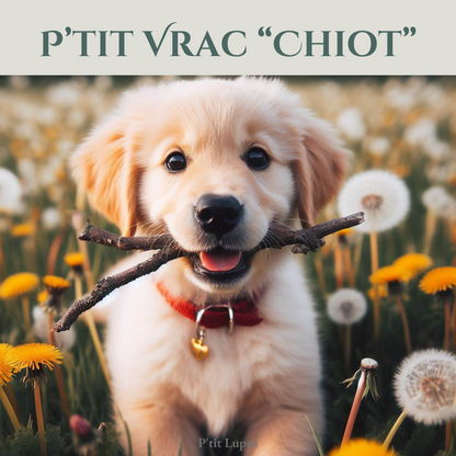 P'tit Vrac "Chiot"