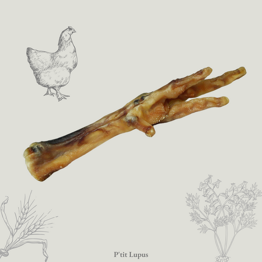 Patte de Poulet